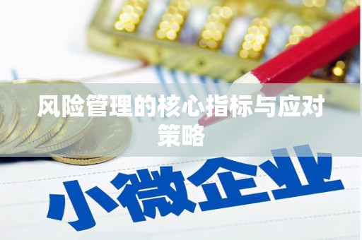 芗城风险管理的核心指标与应对策略
