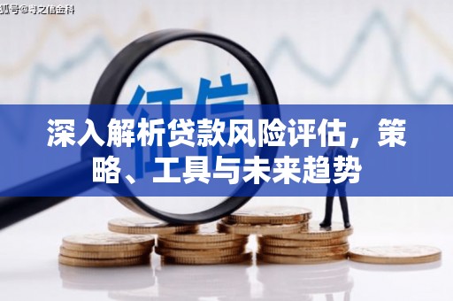 芗城深入解析贷款风险评估，策略、工具与未来趋势