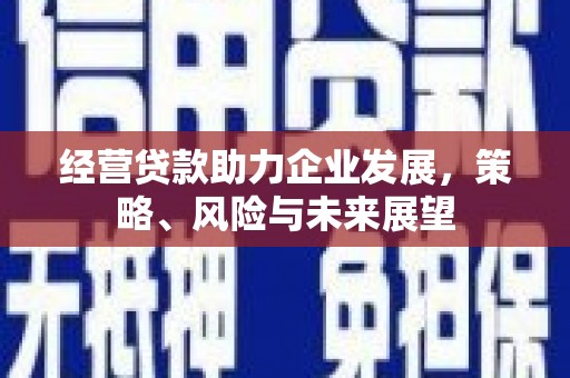 芗城经营贷款助力企业发展，策略、风险与未来展望
