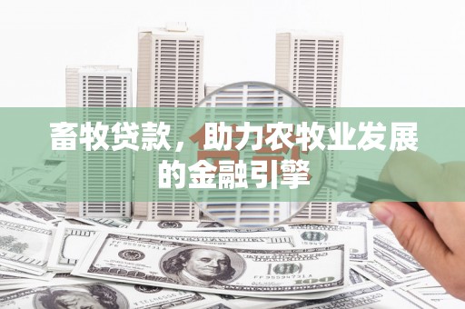 芗城畜牧贷款，助力农牧业发展的金融引擎