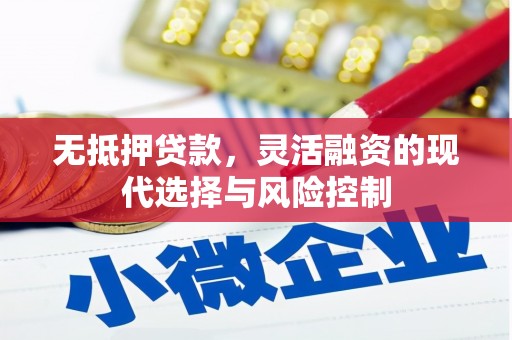 芗城无抵押贷款，灵活融资的现代选择与风险控制
