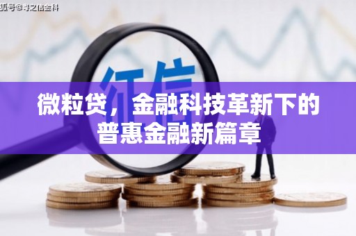 芗城微粒贷，金融科技革新下的普惠金融新篇章