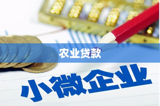 芗城农业贷款
