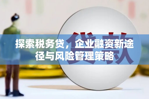 芗城探索税务贷，企业融资新途径与风险管理策略