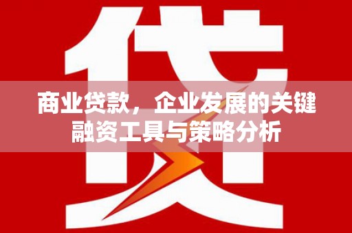 芗城商业贷款，企业发展的关键融资工具与策略分析