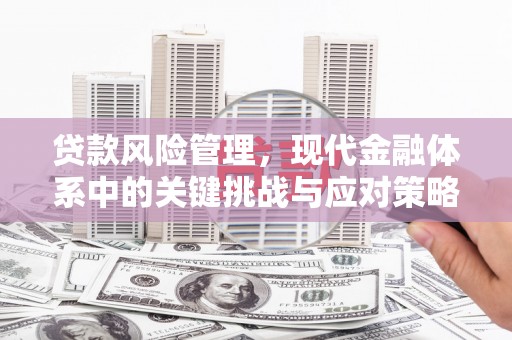 芗城贷款风险管理，现代金融体系中的关键挑战与应对策略
