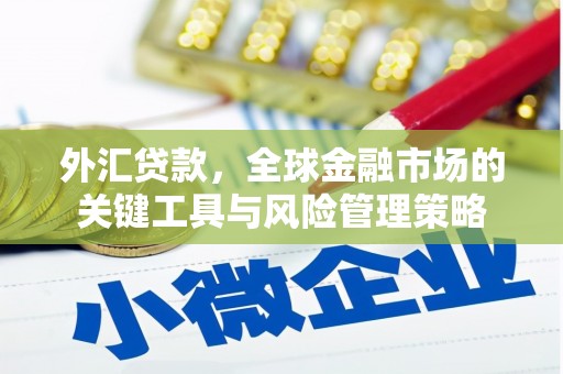芗城外汇贷款，全球金融市场的关键工具与风险管理策略