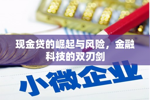 芗城现金贷的崛起与风险，金融科技的双刃剑