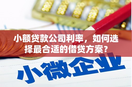 芗城小额贷款公司利率，如何选择最合适的借贷方案？