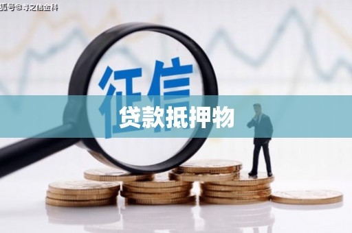 芗城贷款抵押物