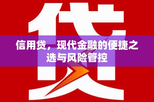 芗城信用贷，现代金融的便捷之选与风险管控