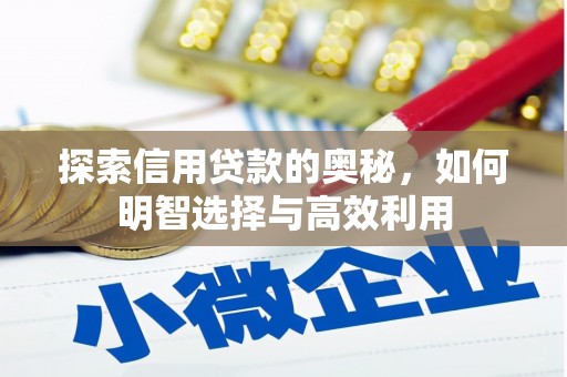 芗城探索信用贷款的奥秘，如何明智选择与高效利用