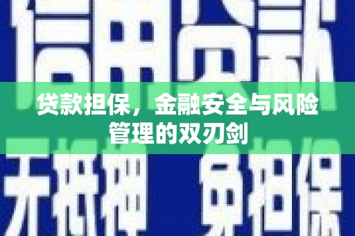 芗城贷款担保，金融安全与风险管理的双刃剑