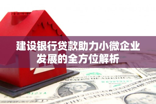 芗城建设银行贷款助力小微企业发展的全方位解析