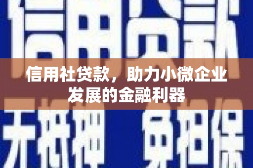 芗城信用社贷款，助力小微企业发展的金融利器