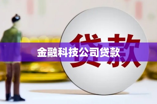 芗城金融科技公司贷款