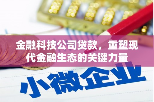 芗城金融科技公司贷款，重塑现代金融生态的关键力量