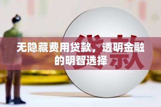 芗城无隐藏费用贷款，透明金融的明智选择