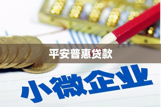 芗城平安普惠贷款