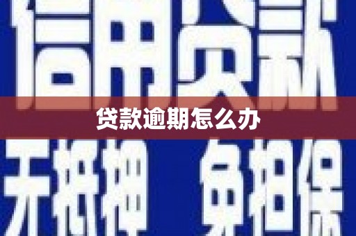 芗城贷款逾期怎么办