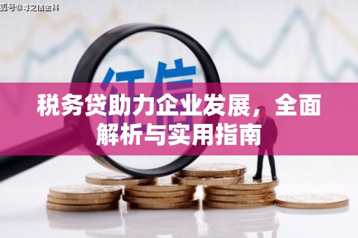 芗城税务贷助力企业发展，全面解析与实用指南