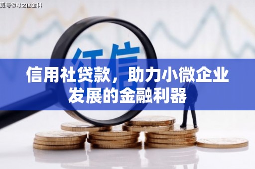 芗城信用社贷款，助力小微企业发展的金融利器