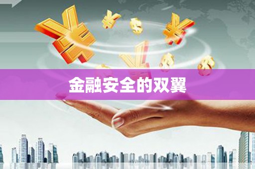 芗城金融安全的双翼
