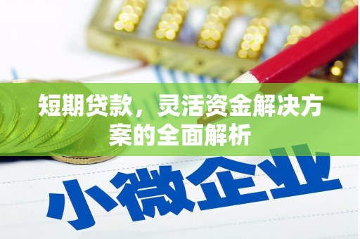 芗城短期贷款，灵活资金解决方案的全面解析