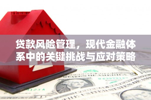 芗城贷款风险管理，现代金融体系中的关键挑战与应对策略