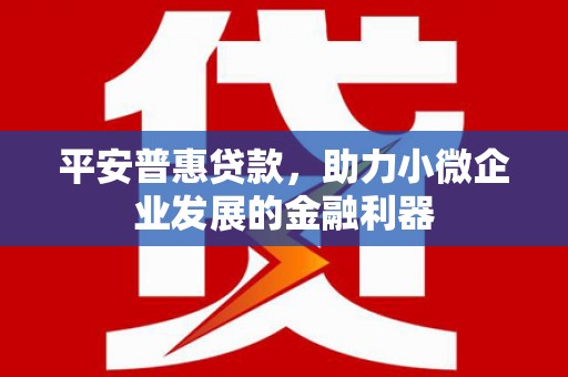 芗城平安普惠贷款，助力小微企业发展的金融利器