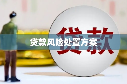 芗城贷款风险处置方案