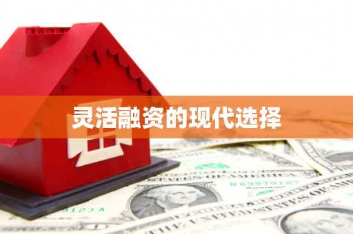 芗城灵活融资的现代选择