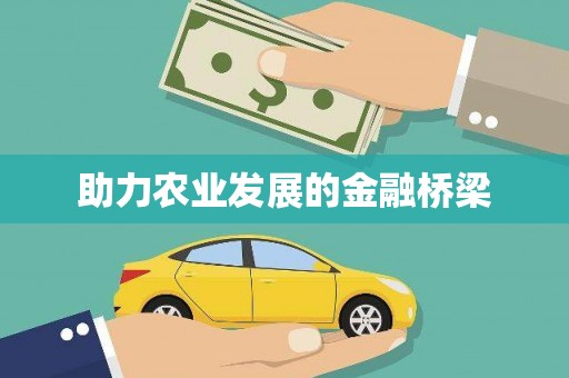 芗城助力农业发展的金融桥梁