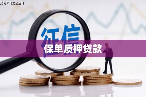 芗城保单质押贷款