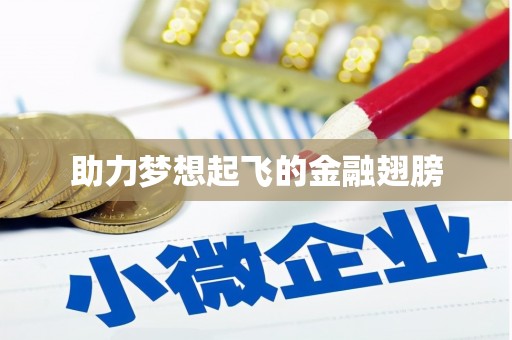 芗城助力梦想起飞的金融翅膀