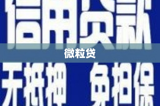 芗城微粒贷
