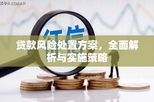 芗城贷款风险处置方案，全面解析与实施策略
