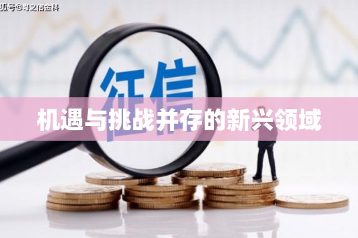 芗城机遇与挑战并存的新兴领域