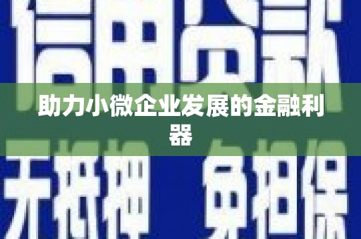 芗城助力小微企业发展的金融利器