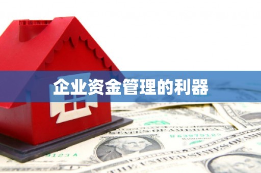 芗城企业资金管理的利器