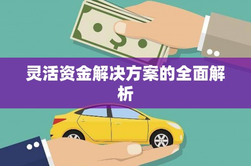 芗城灵活资金解决方案的全面解析